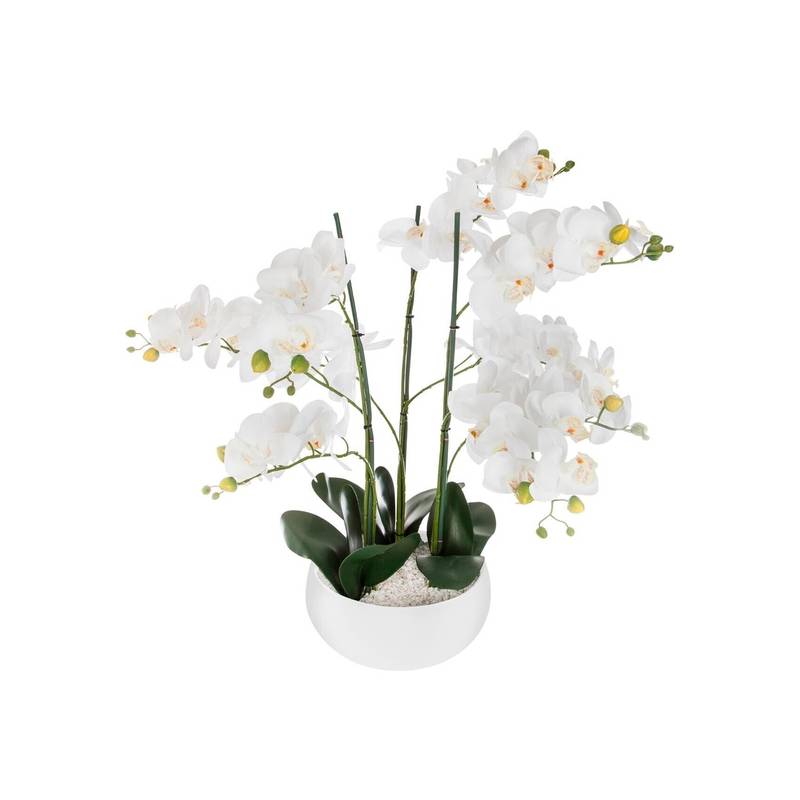 orquídea olla cerámica blanca h65
