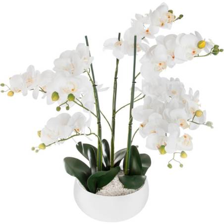 orquídea olla cerámica blanca h65