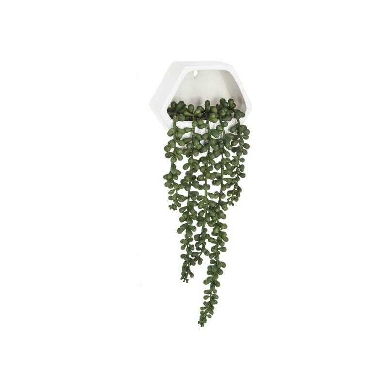 planta colgante de pared contemporánea altura total con planta caída 45 cm